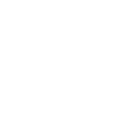 White Delta Pro Property Development logo on a transparent background. Features a stylized building silhouette within a diamond shape, conveying professionalism.