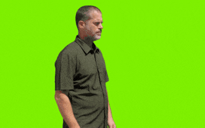 interactive demo